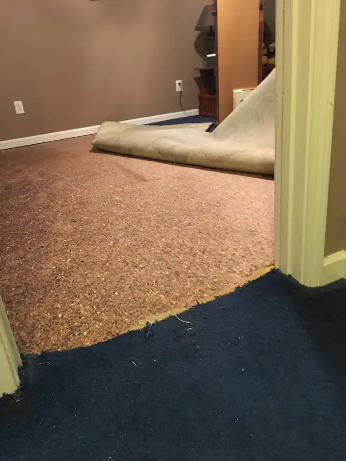 Carpet pad removal revealing water damage during Drying & Dehumidification in Wildewood