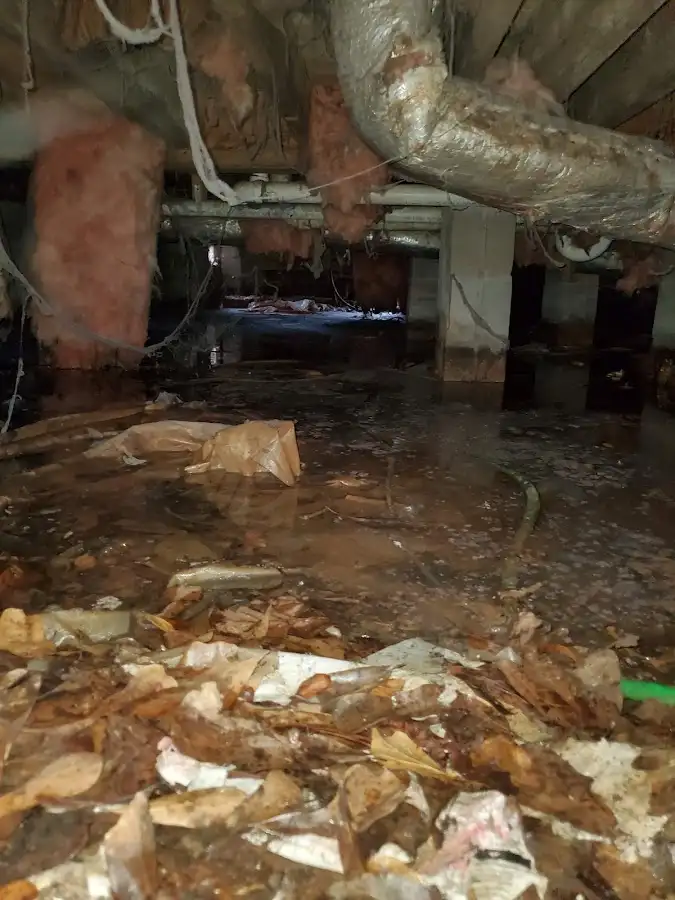 Crawl space flood assessment for Commercial Water Damage Restoration in Wildewood