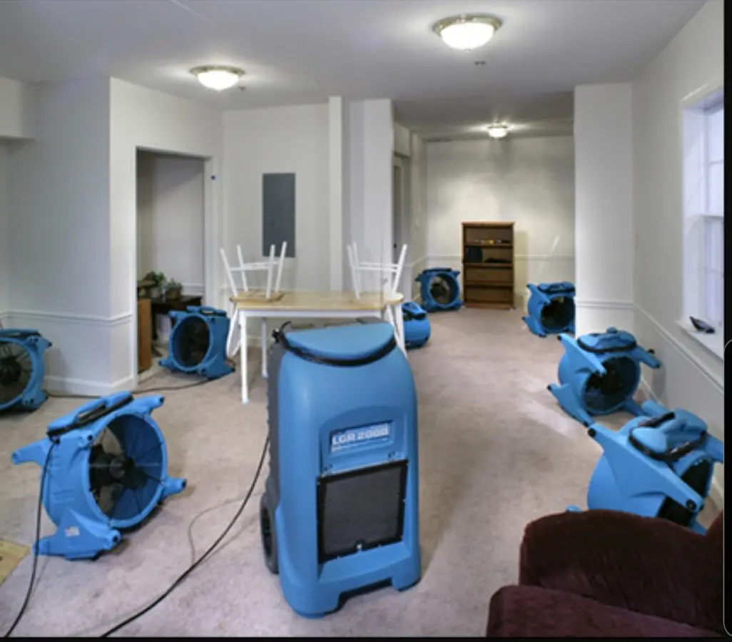Air movers and dehumidifier setup for Water Extraction & Removal in Wildewood